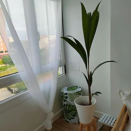 De Diseno En El Centro -desing In The Center サンタンデール