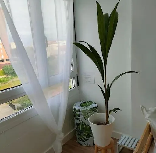 De Diseno En El Centro -desing In The Center Santander