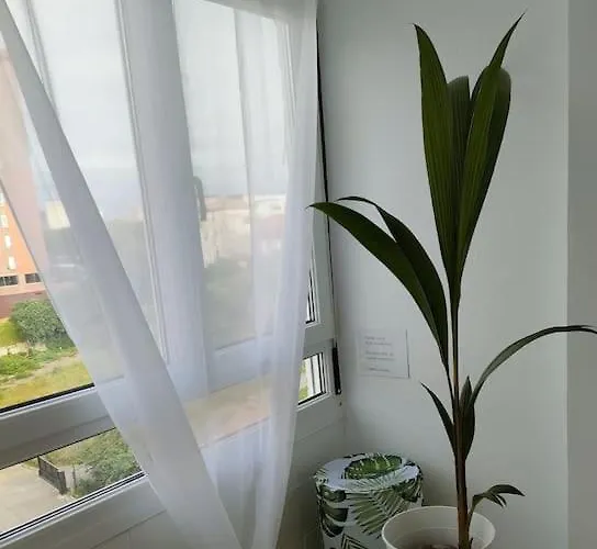 Apartament De Diseno En El Centro -desing In The Center